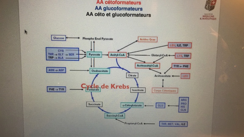 TK Question 5  Img_4611