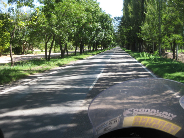 convocatoria y viaje a EL SOSNEADO (Mza.)  2017 Img_1103