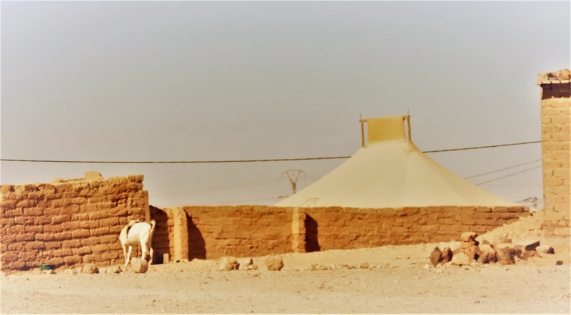 Cuaderno de campo: expedición Campos de Refugiados Saharauis en Tindouf ( Argelia) - Página 4 Dscn1910