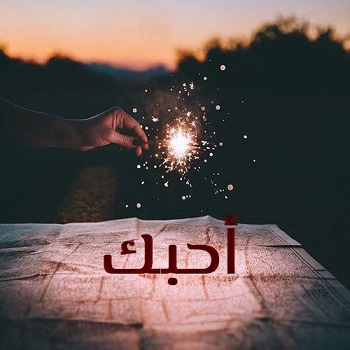 احبك موت ياروحي 511