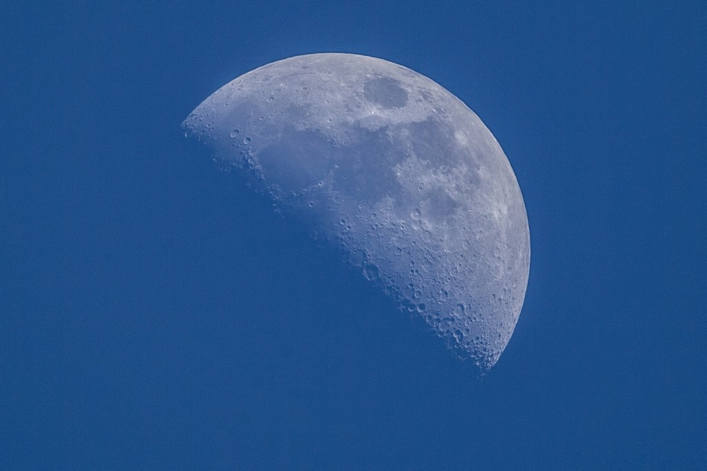 Un peu de photos en ce bel après-midi du 22 avril Lune_110