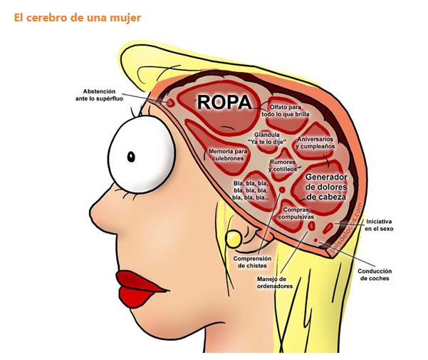 Ventajas de ser mujer vs ventajas de ser hombre - Página 6 Sin_ty61