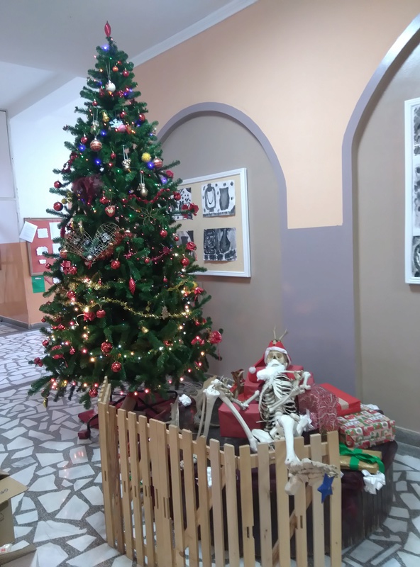 Novogodišnja idila 2018 :) Dsc_2822