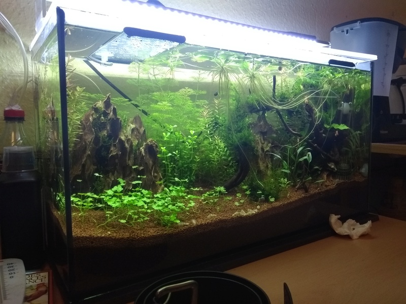 projet 45 litres - Page 3 15178410