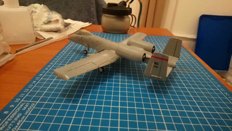 A-10 Thunderbolt II Dsc_0412