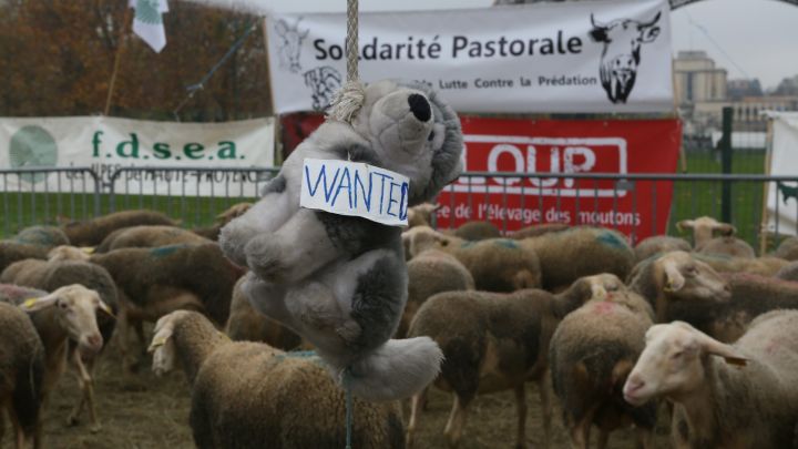 le coin des vieux - Page 3 43273312