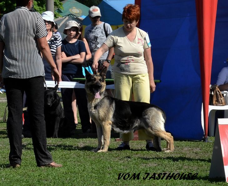  Всепородная  выставка   собак  САС-UA "День Победы  2013 Dsc_1019