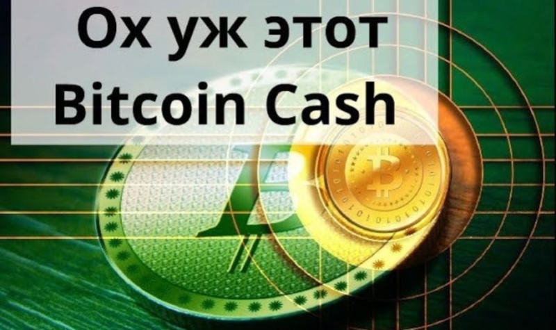 биткоин - Курс Биткоин Кеш прогноз на 2018, 2019, 2020 Sdd10