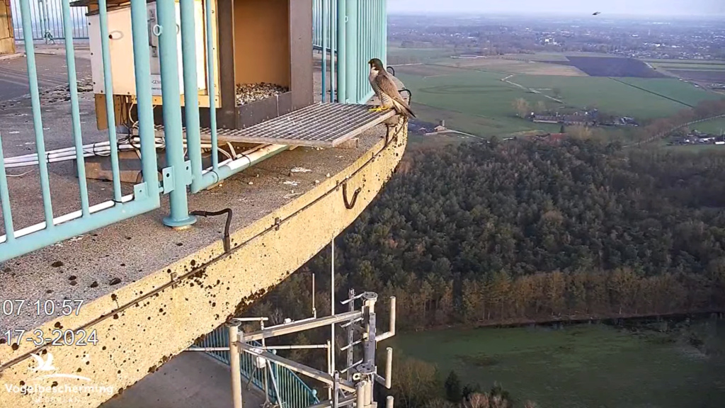 screenshots VWGGemert/Vogelbescherming Nederland. - Pagina 12 Scher242