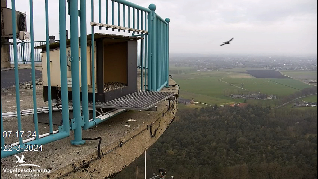 screenshots VWGGemert/Vogelbescherming Nederland. - Pagina 19 Scher395