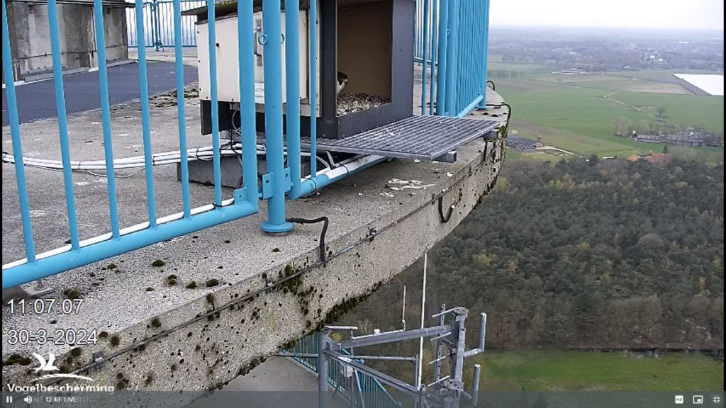 screenshots VWGGemert/Vogelbescherming Nederland. - Pagina 34 Scher650