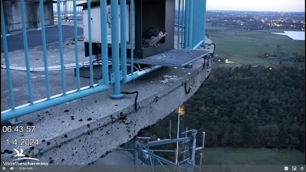 screenshots VWGGemert/Vogelbescherming Nederland. - Pagina 37 Scher678