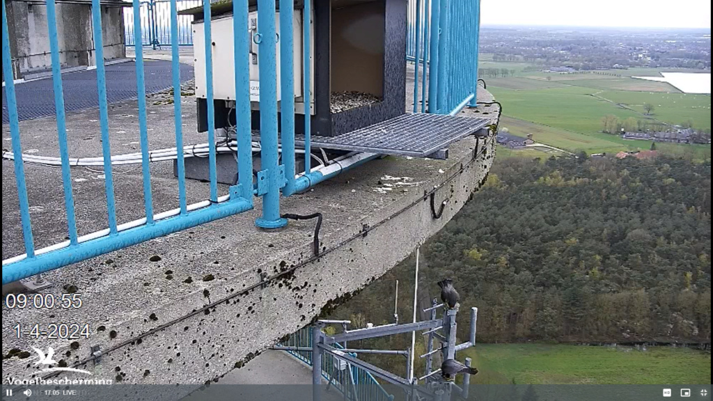 screenshots VWGGemert/Vogelbescherming Nederland. - Pagina 37 Scher703