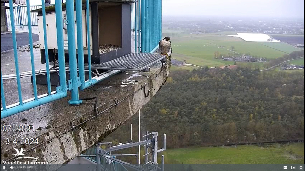 screenshots VWGGemert/Vogelbescherming Nederland. - Pagina 40 Scher755