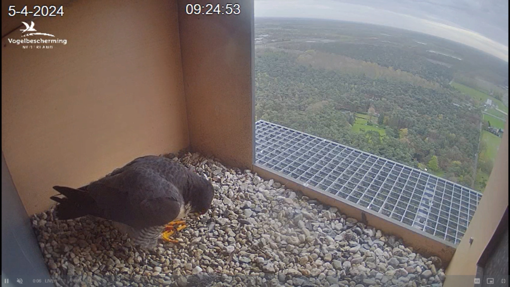 screenshots VWGGemert/Vogelbescherming Nederland. - Pagina 3 Scher827