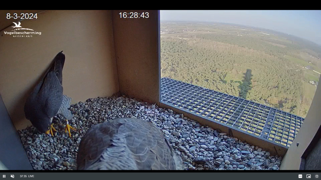 screenshots VWGGemert/Vogelbescherming Nederland. - Pagina 2 Scherm36