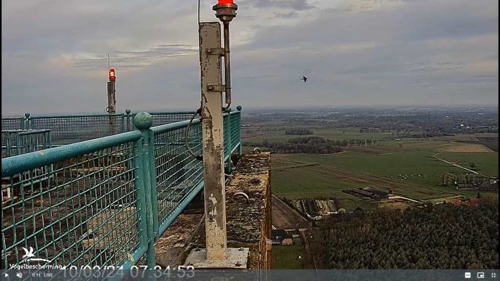 screenshots VWGGemert/Vogelbescherming Nederland. - Pagina 3 Scherm64