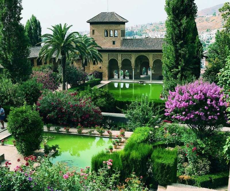 Un jardín interior 11800010