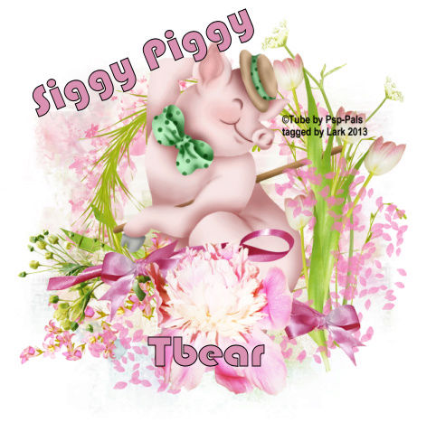 Siggy Piggy Tbea1r10