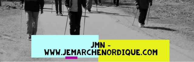 Sondage : Le Marcheur Nordique en 2020  Jmn110