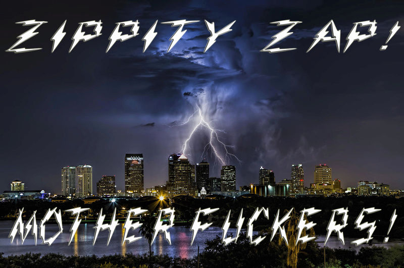 The Tampa Bay Times 5cfczz11