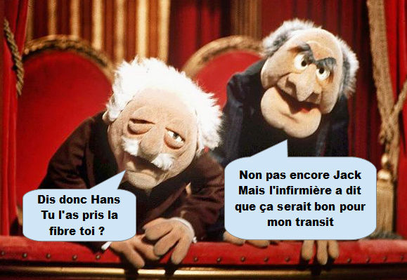 Session d’information Joueurs - Administrateurs - Page 2 Muppet11