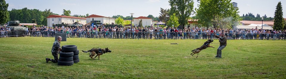 JPO 12e régiment de cuirassiers, 19 et 20 ami 2018 33356710