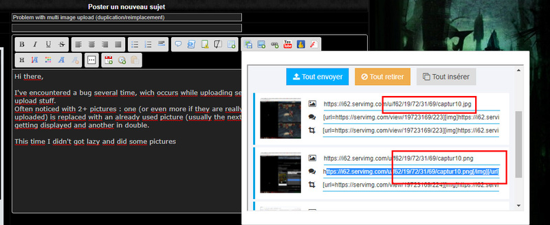 Problem with multi image upload (duplication/reimplacement) Captur12