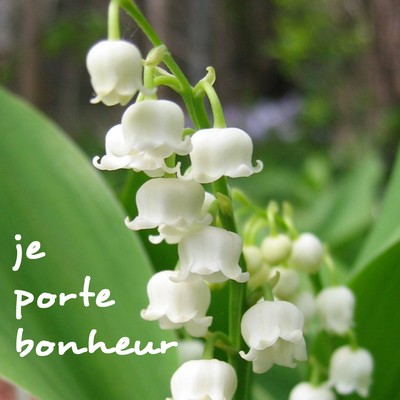 BON et JOYEUX 1er MAI à TOUTES et TOUS Mai10