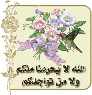 الإعلان عن البدء بكتابة خواص القرآن الكريم من سورة الفاتحة و 211