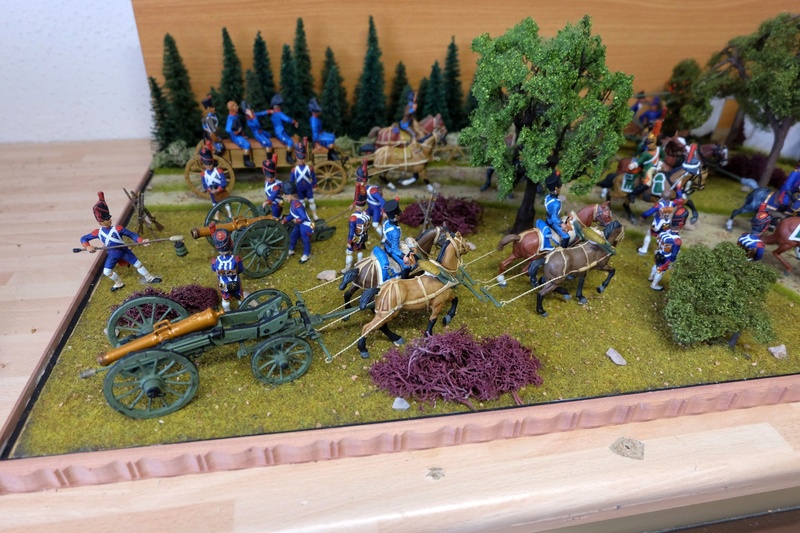 Napoleonische Artillerie am Vortag der Schlacht 1:32 - Seite 6 Dscf4936