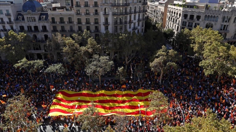 [Societat Civil Catalana] Manifestación 11-S: Tots som Catalunya. Per la convivéncia, Seny Imagen10