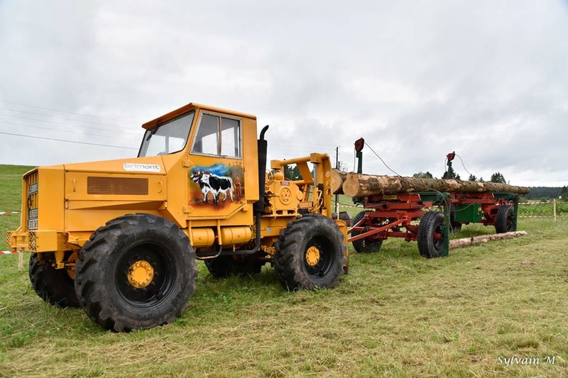 88 - Haut du Tôt :  Fête du bois et expo tracteurs les 7/8 Juillet 2018  Brimon10
