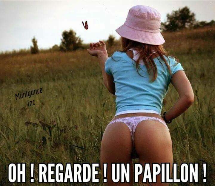 humour - Humour en image du Forum Passion-Harley  ... - Page 17 Big-6712