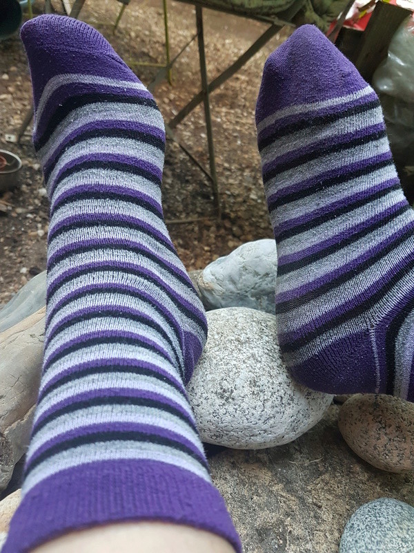 Être en Chaussettes j'adore! 20160934