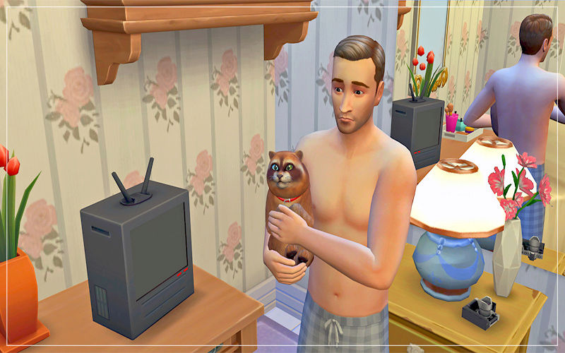 TS4 - Catcoon 15_11_16