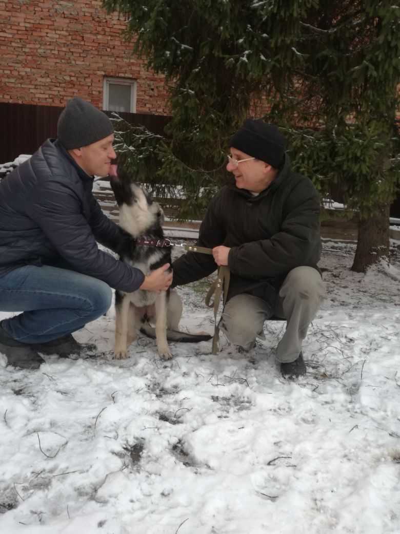 веолар - Ростовский филиал нашего питомника (Веолар-Дон) Img-2010