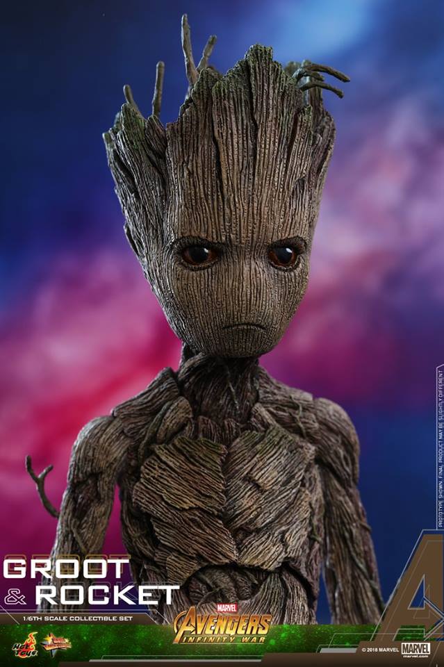 [Hot Toys] -Avengers: Infinity War - Groot & Rocket 1/6 28685110