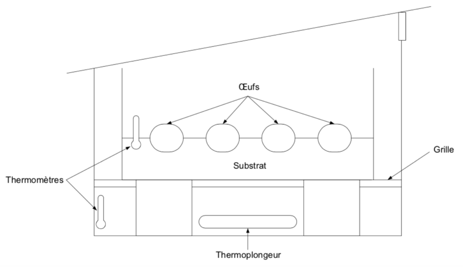 Substrat d'incubation : terre de jardin ? Vermiculite ? Incuba10