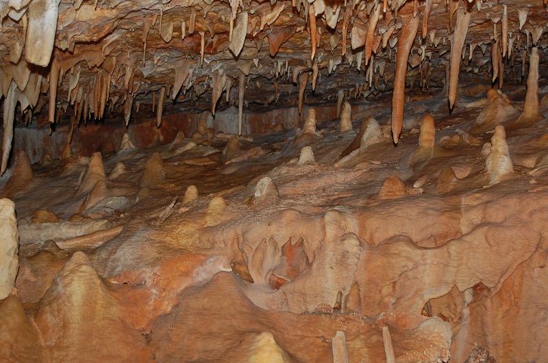 la grotte de la forestiere Dsc_0318