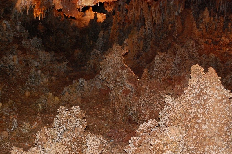 la grotte de la forestiere Dsc_0331