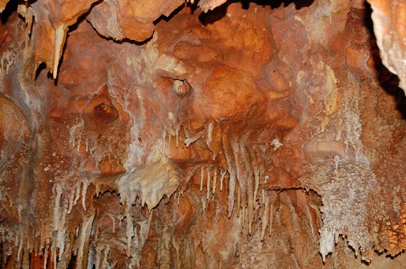 la grotte de la forestiere Dsc_0334
