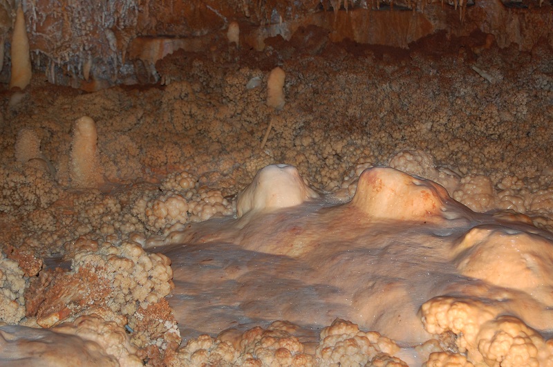 la grotte de la forestiere Dsc_0353