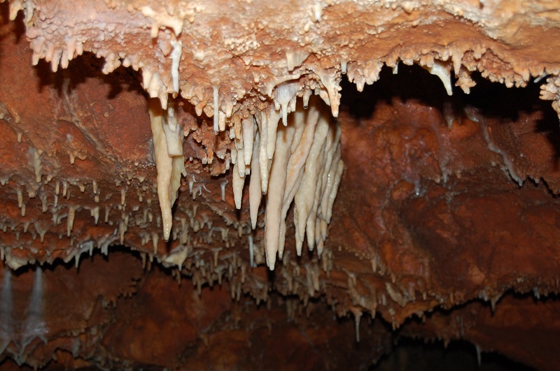 la grotte de la forestiere Dsc_0362