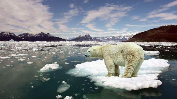 القطب الشمالى قد يختفى بحلول عام 2040 Fd10