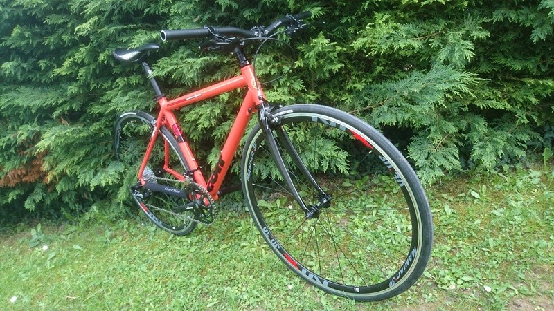 Commencal Colt 2004 Dsc_9536