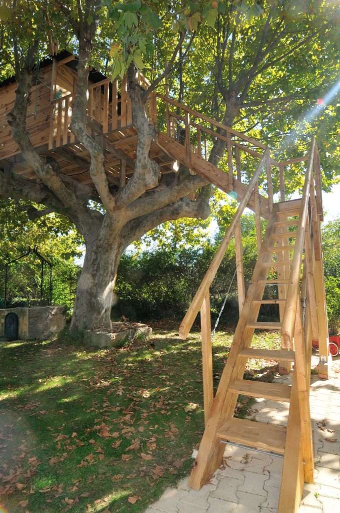 Une cabane dans l'arbre Dsc_7015