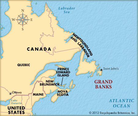 الجراند بانْكس من أغنى مناطق صيد الأسماك في العالم 15993810