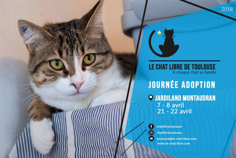 [ Adoptions ] Samedi 21 et dimanche 22 avril 2018 : Jardiland Montaudran Journy11