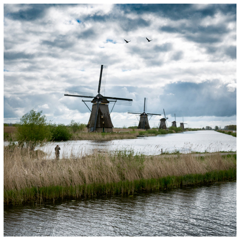 [Paysages] Kinderdijk (+v2) _1290110